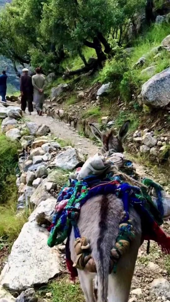 Post 6 by Kainat on TikTok (video)