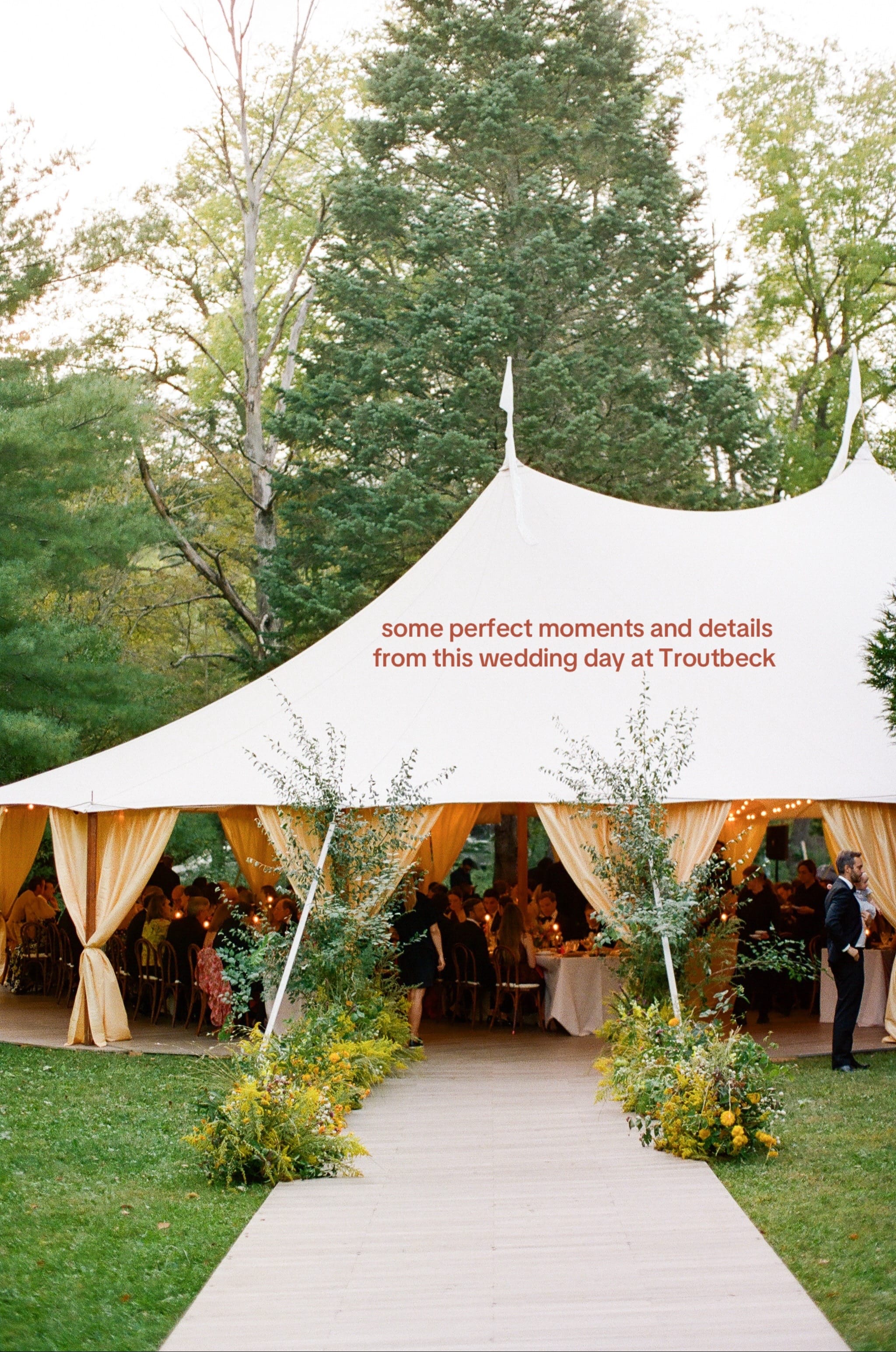 Post 7 by The Greenwich Tent Company on TikTok (video)