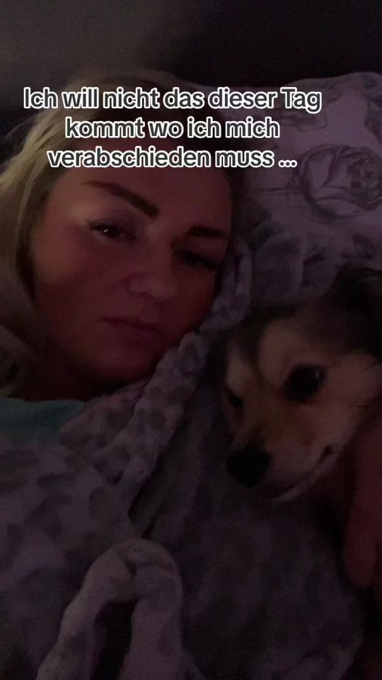 Post 5 by Jacky on TikTok (video)