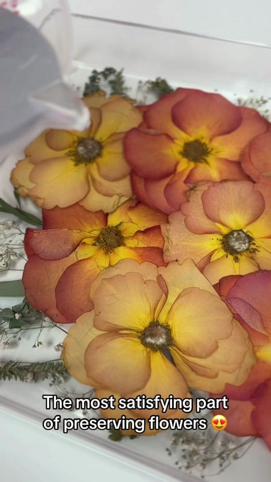 Post 2 by Bloomsake Flower Preservation on TikTok (video)