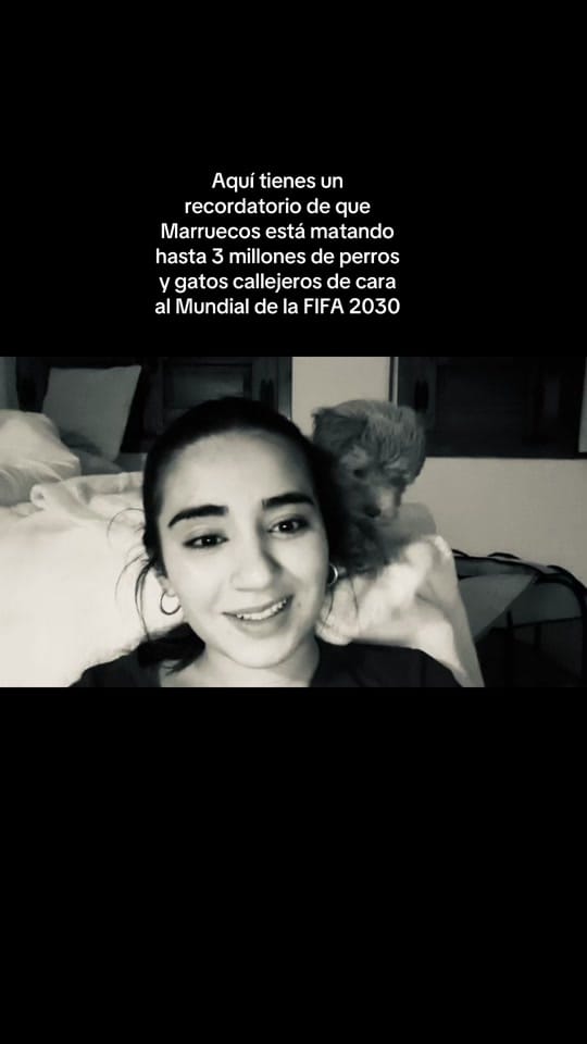 Post 4 by salma.ennaciri on TikTok (video)