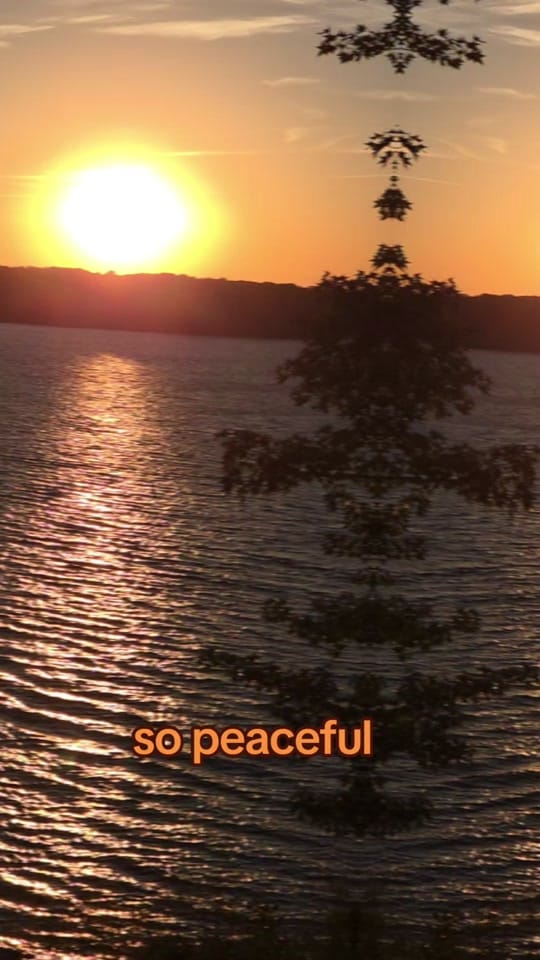 Post 3 by Tennessee Tiny Weddings on TikTok (video)
