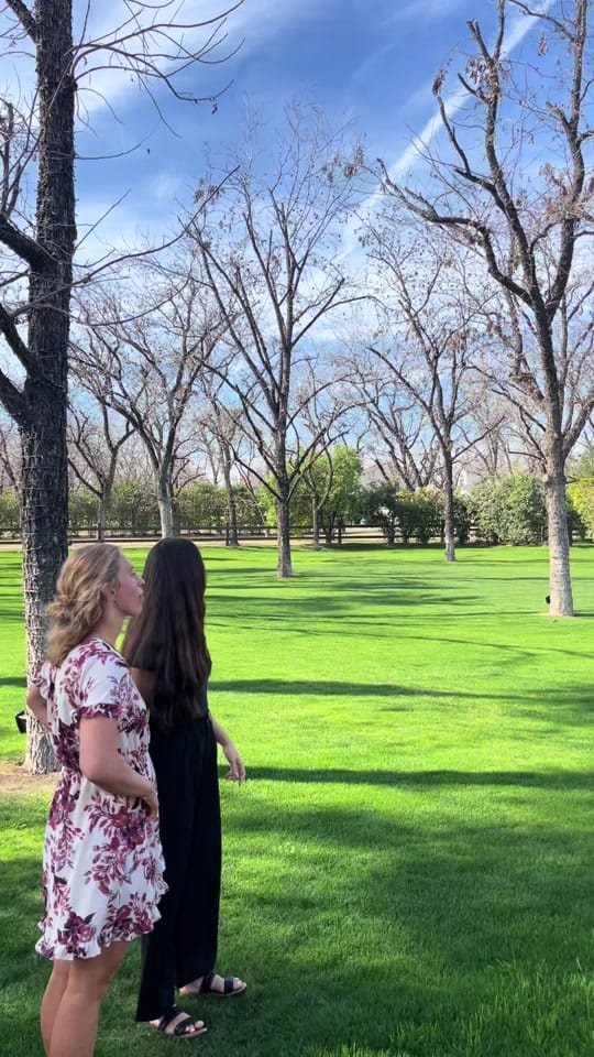 Post 5 by Venue at the Grove on TikTok (video)