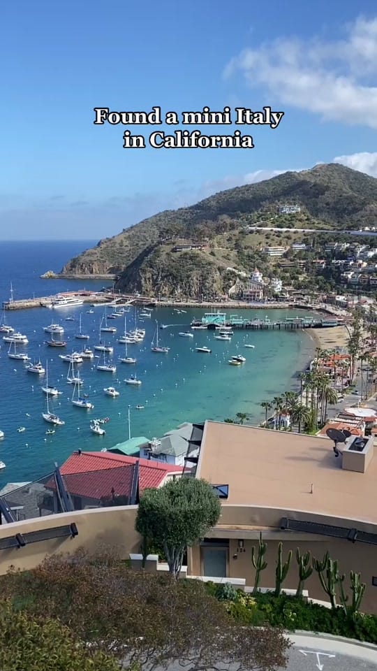 Post 5 by Sophia (Food & Wedding) on TikTok (video)