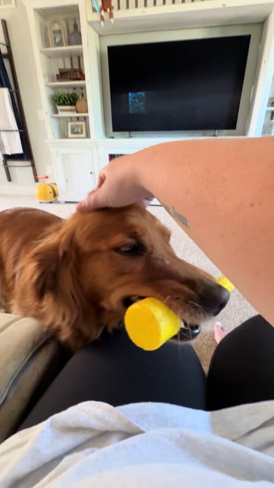 Post 10 by Lindsay 🌼📸 on TikTok (video)