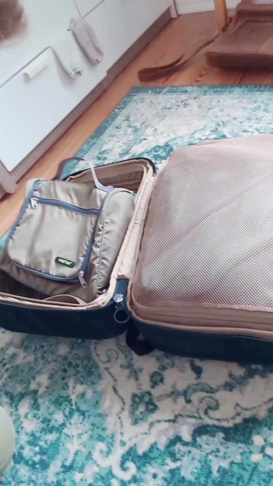 Post 5 by Malte Meibauer on TikTok (video)