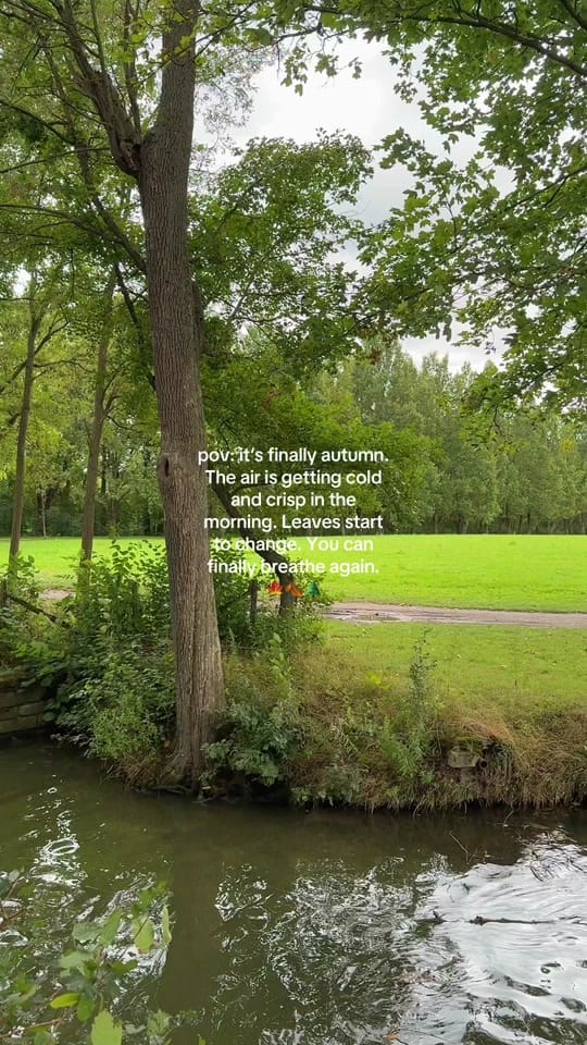 Post 3 by Cynthia 🧚🌿☕️ on TikTok (video)