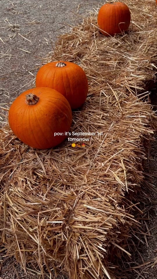 Post 6 by Cynthia 🧚🌿☕️ on TikTok (video)