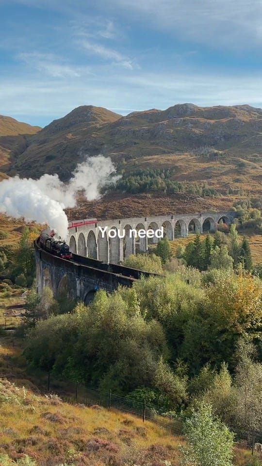 Post 10 by Cynthia 🧚🌿☕️ on TikTok (video)