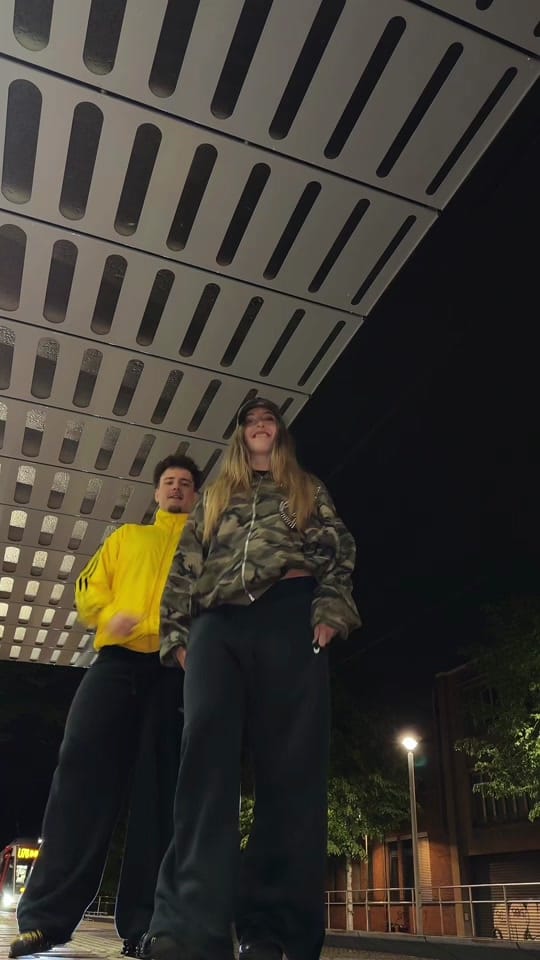 Post 4 by evelyne.ct on TikTok (video)
