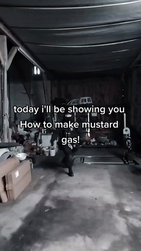 Post 10 by Loki on TikTok (video)