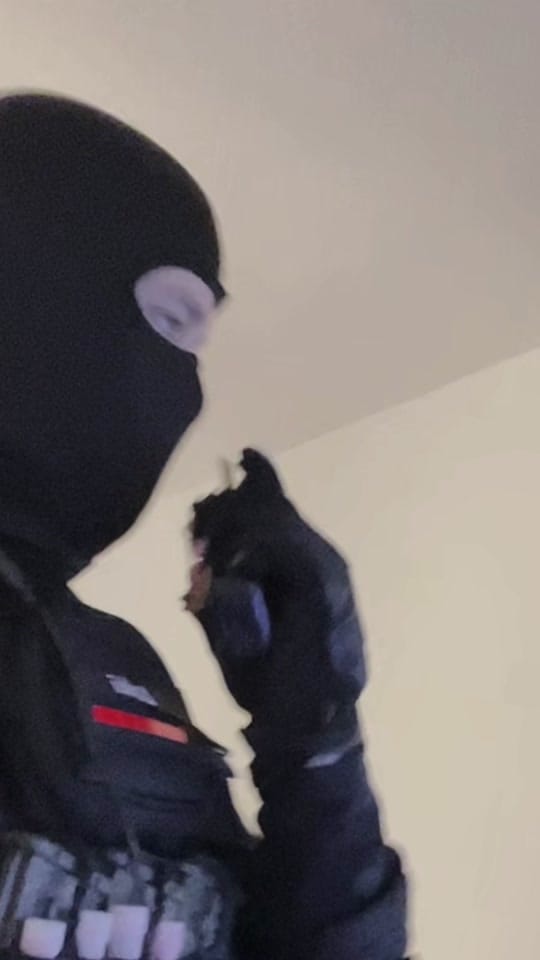Post 3 by Loki on TikTok (video)