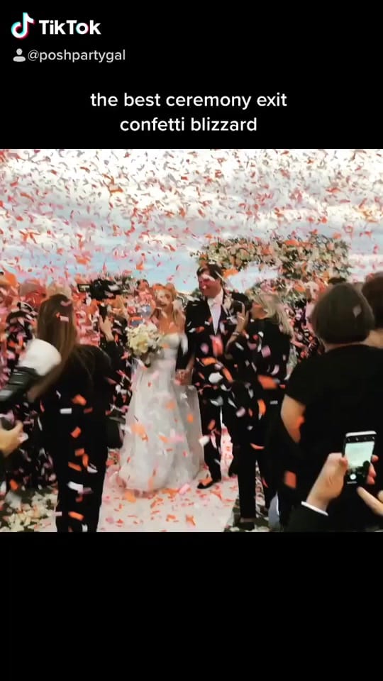 Post 6 by poshpartygal on TikTok (video)