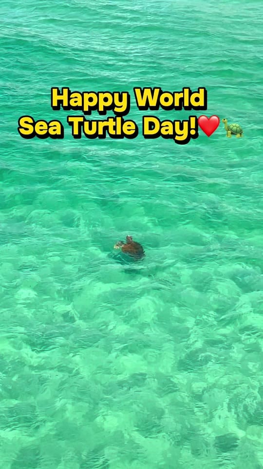 Post 6 by Carley on the Coast🌴 on TikTok (video)