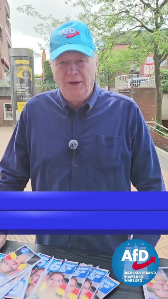 Post 7 by AfD Hamburg-Harburg on TikTok (video)