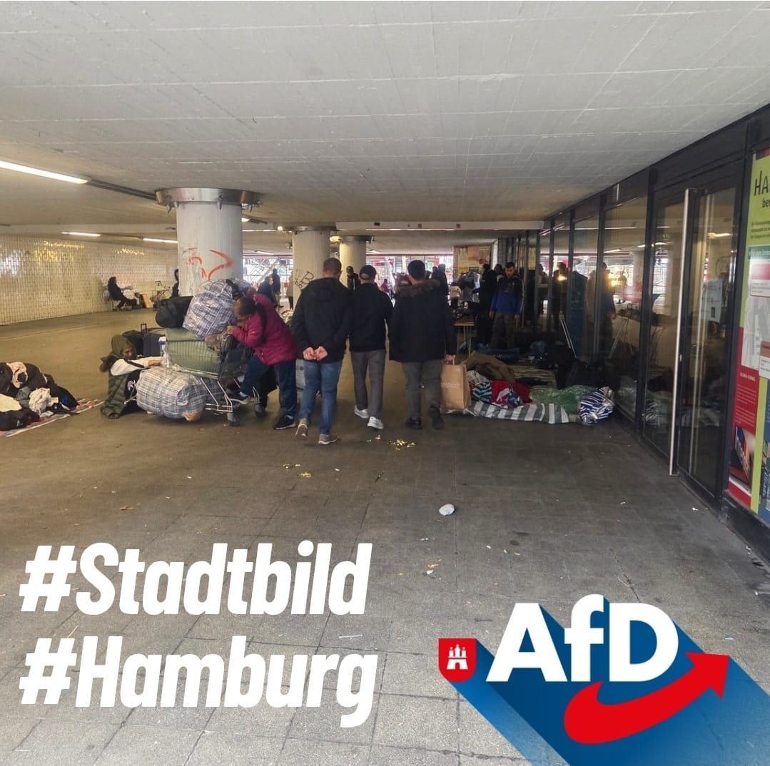 Post 2 by AfD Hamburg-Harburg on TikTok (video)