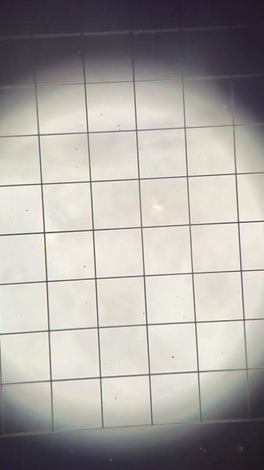 Post 5 by Dr. Allison Rodgers on TikTok (video)