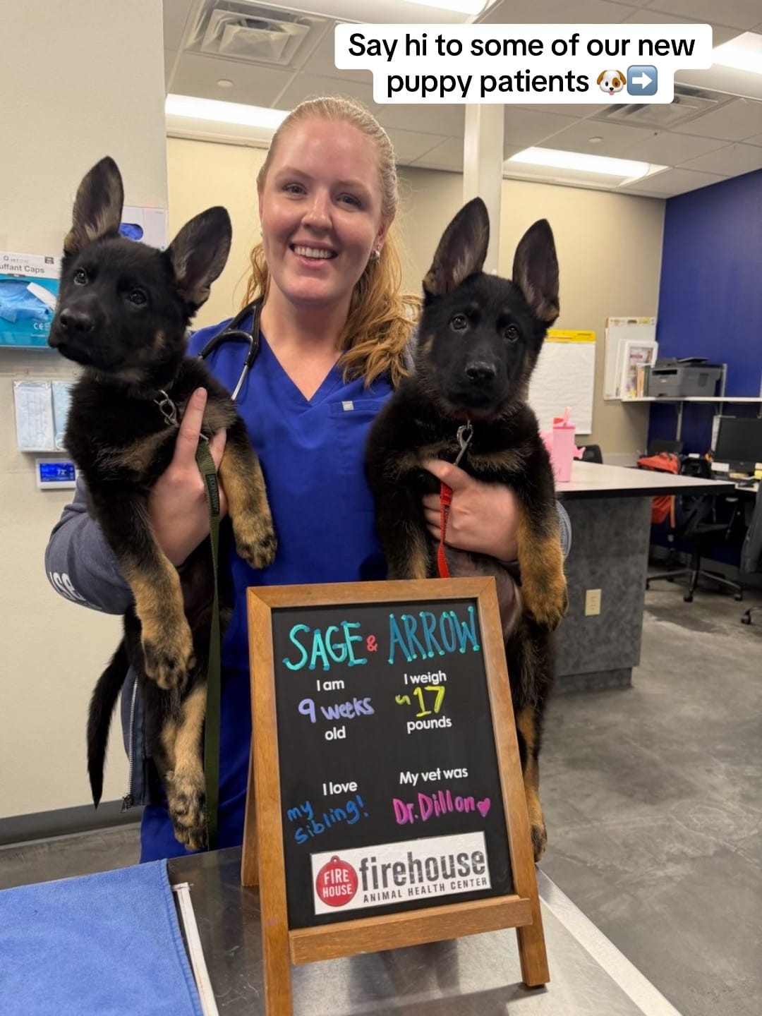 Post 6 by Firehouse Animal Health Center on TikTok (video)