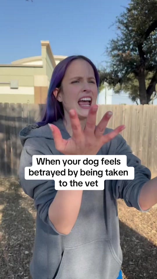 Post 10 by Firehouse Animal Health Center on TikTok (video)