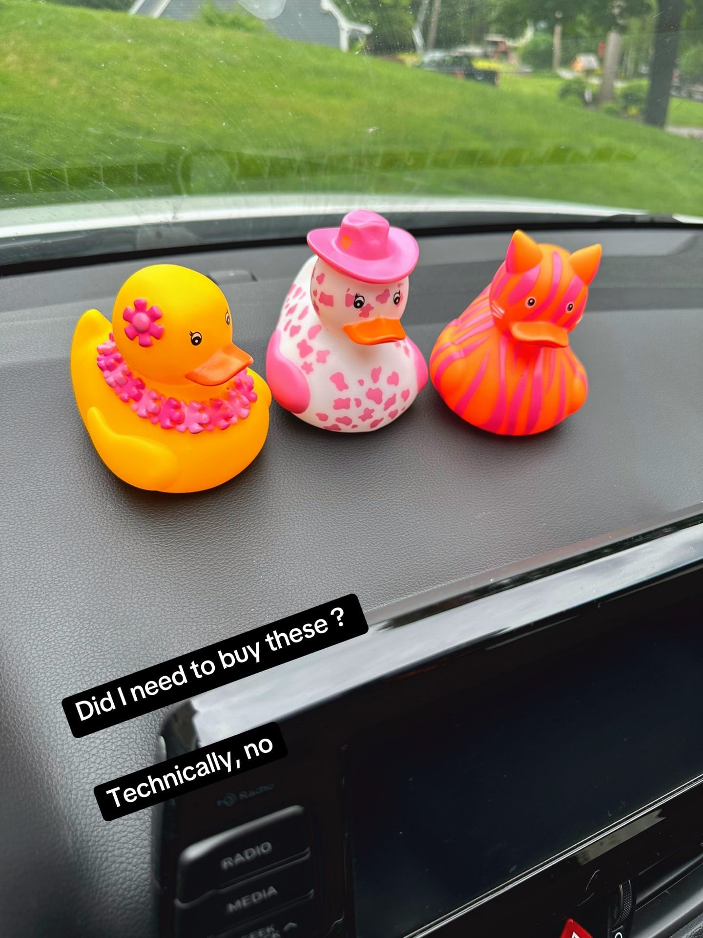 Post 6 by Kam on TikTok (video)