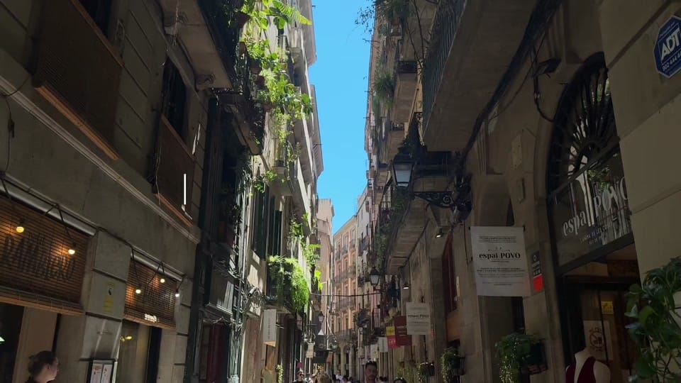 Post 6 by Lauren ☆ on TikTok (video)