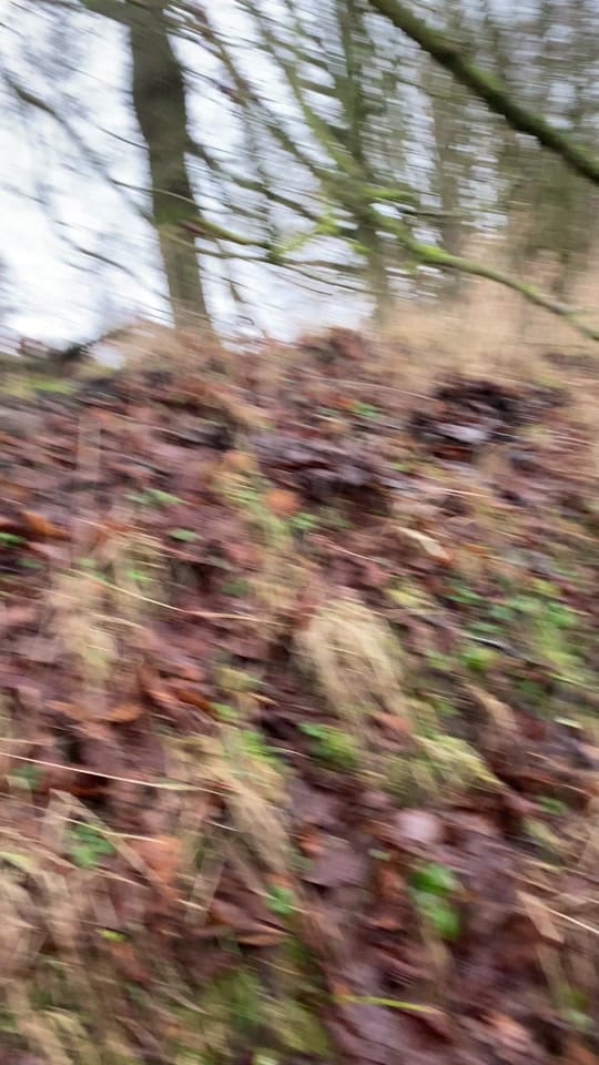 Post 9 by Tilo ut Breiteneiche on TikTok (video)