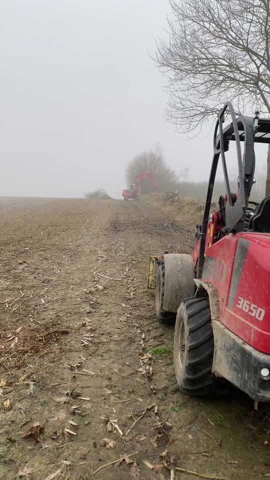 Post 8 by Tilo ut Breiteneiche on TikTok (video)