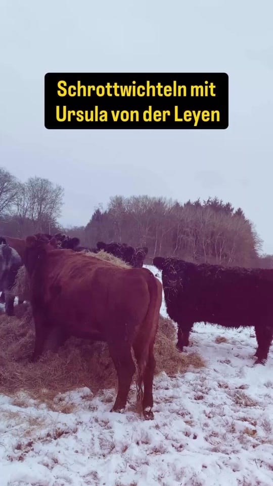 Post 1 by Tilo ut Breiteneiche on TikTok (video)