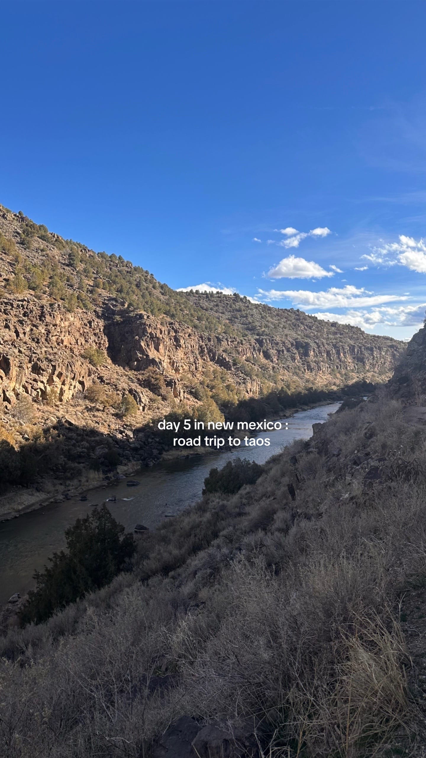 Post 4 by lindsey on TikTok (video)