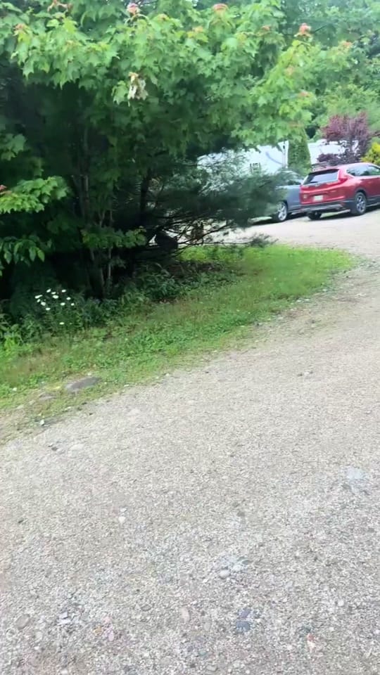 Post 6 by Victoria on TikTok (video)