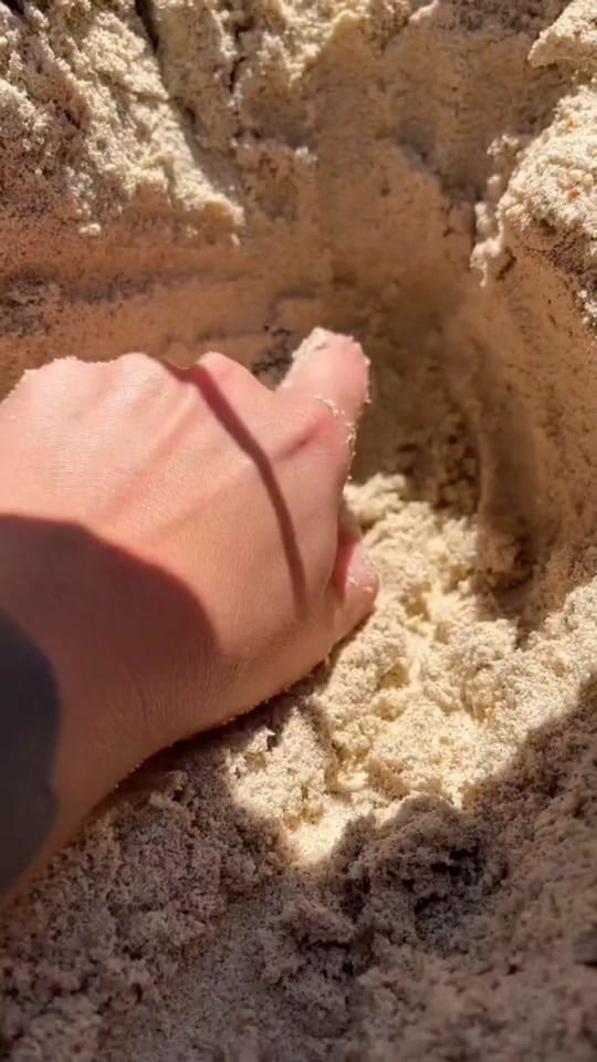 Post 9 by Gina on TikTok (video)