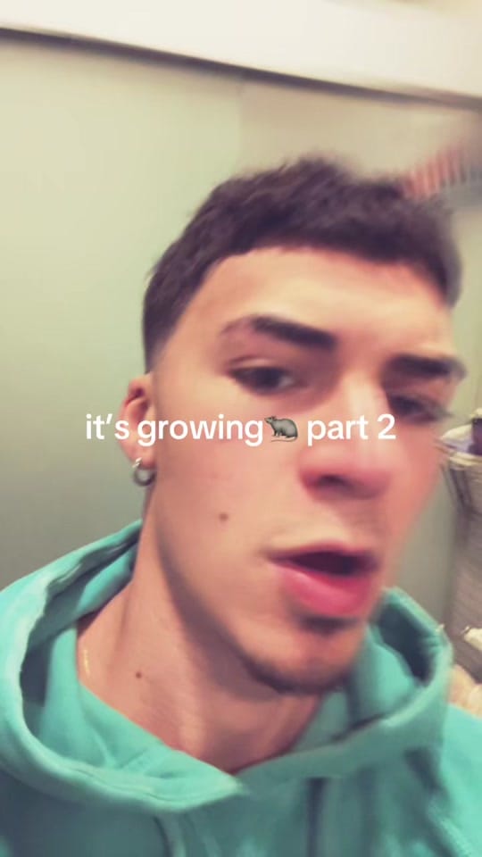 Post 5 by jorge.dgomez on TikTok (video)