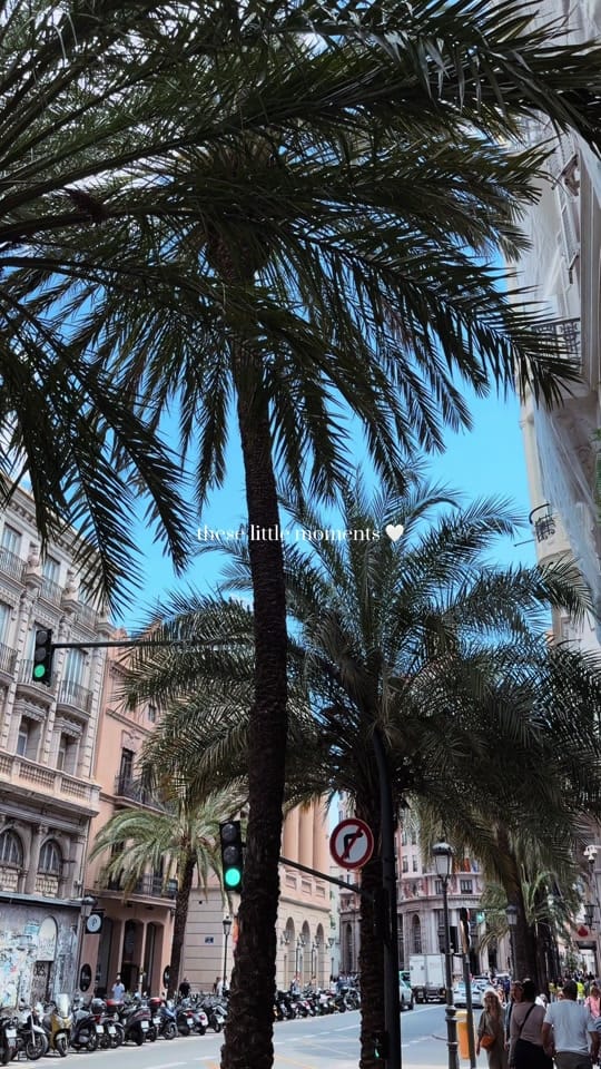 Post 3 by Maju en Valencia ✨🇪🇸 on TikTok (video)