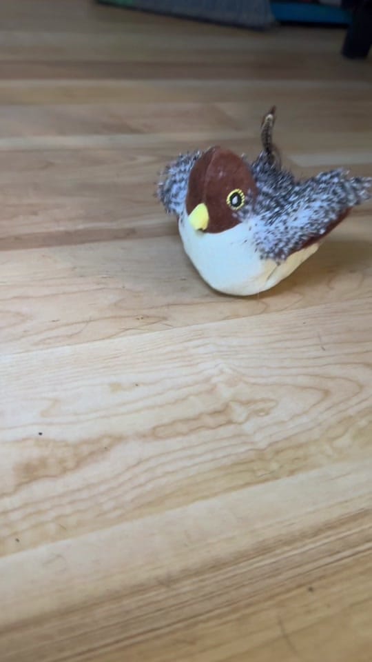 Post 10 by ckmigfhyu on TikTok (video)