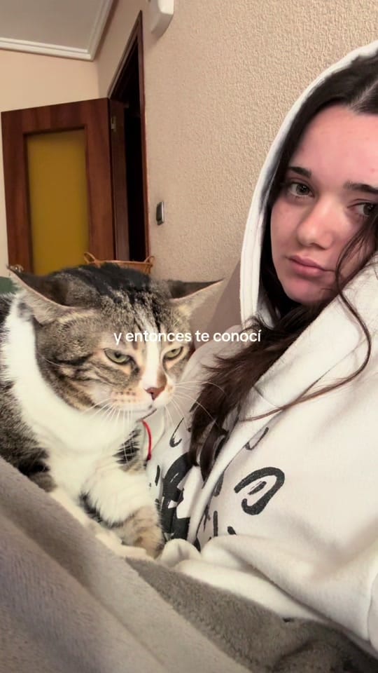 Post 7 by maría on TikTok (video)