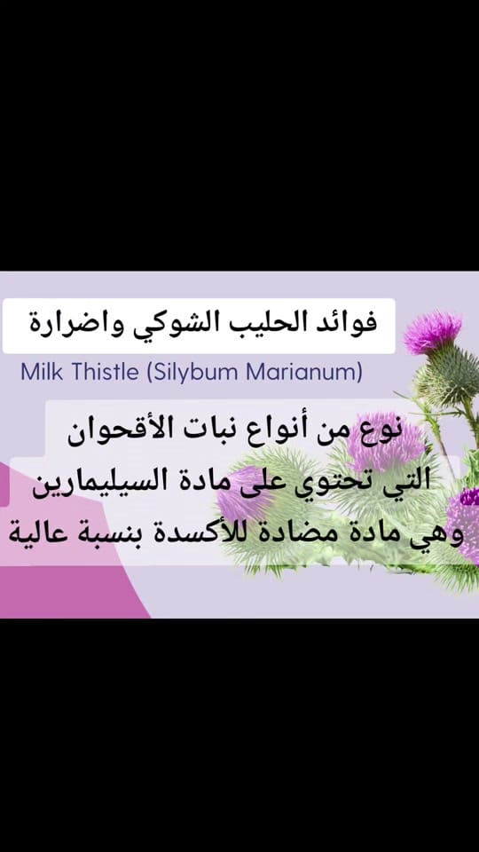 Post 5 by Dr. Mayada Mohamed on TikTok (video)