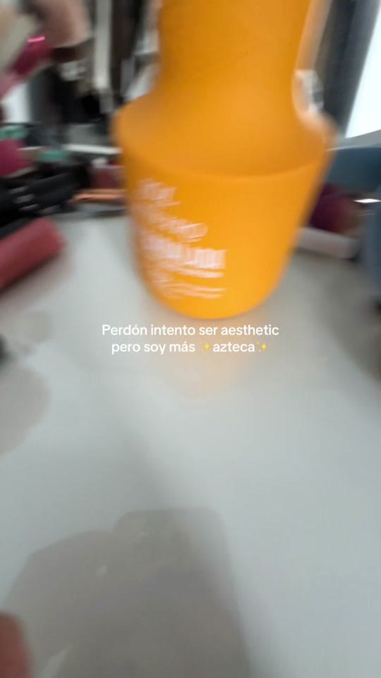 Post 10 by Ana Dieguez on TikTok (video)