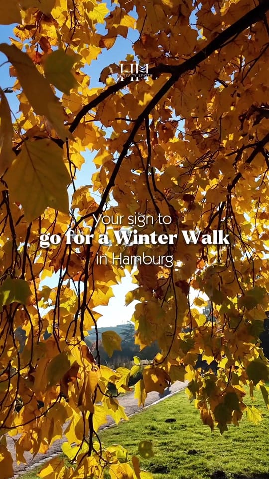 Post 3 by Hamburg Activity Spots on TikTok (video)