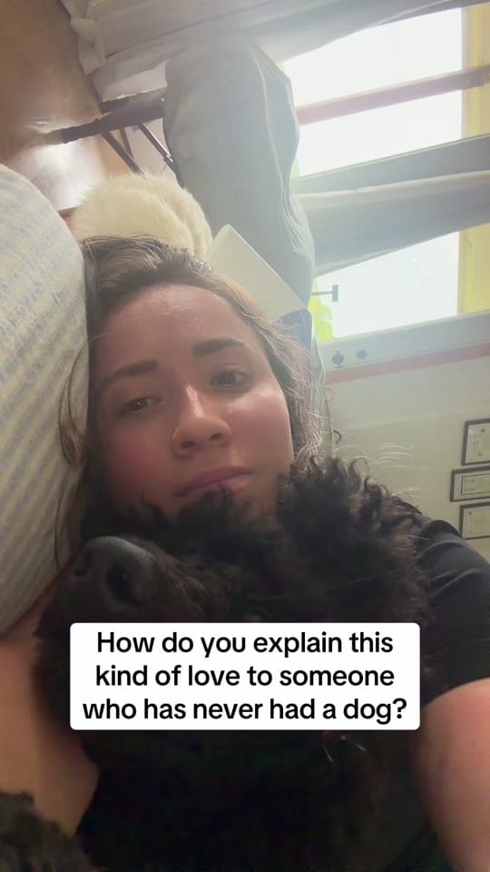 Post 9 by Lara on TikTok (video)