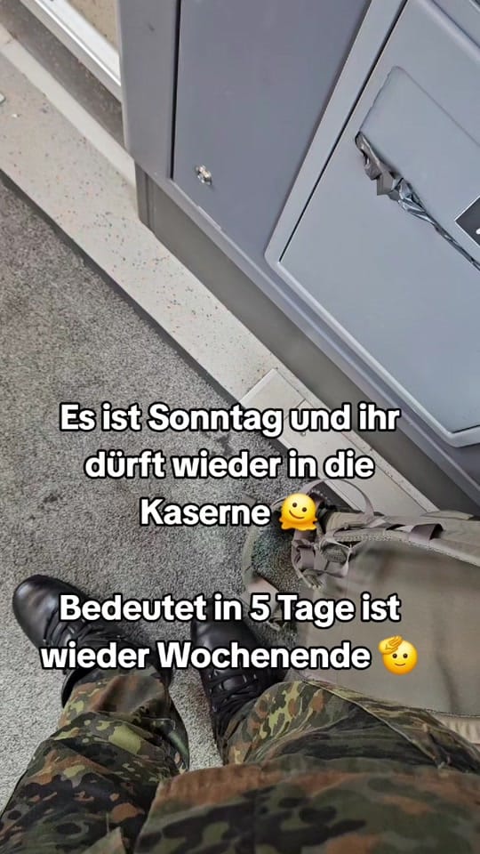 Post 8 by ZynthWave on TikTok (video)