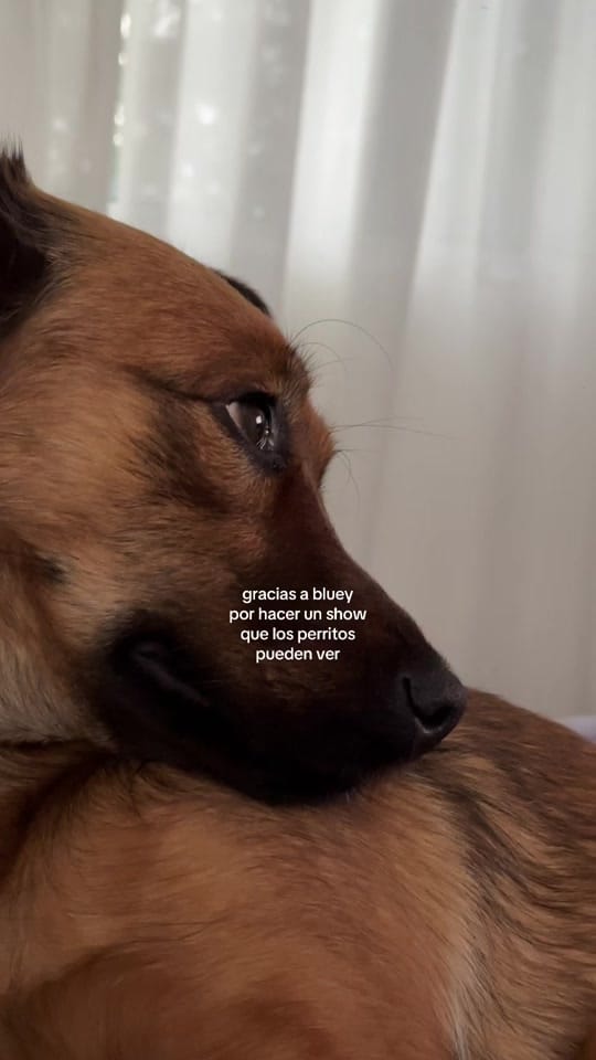Post 9 by Itz Me on TikTok (video)