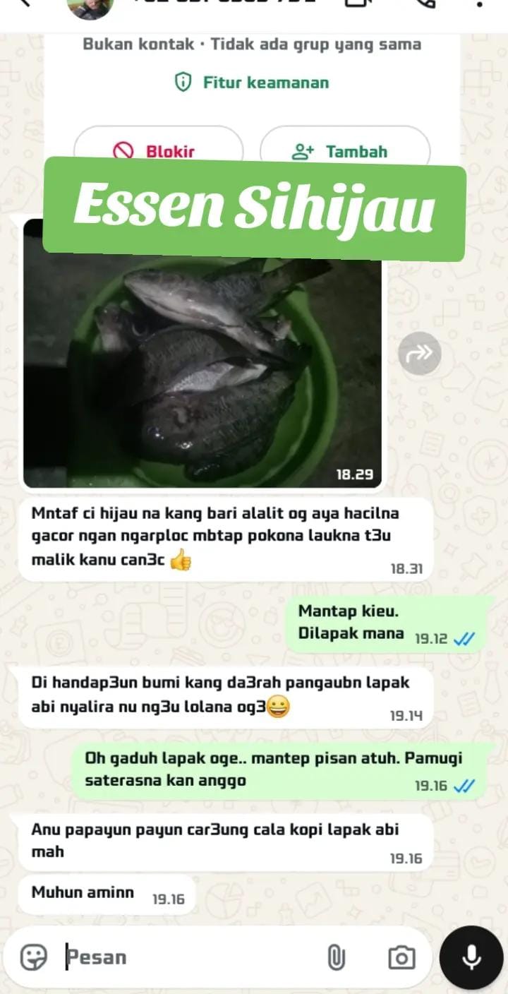 Post 9 by Kang Anclom on TikTok (video)