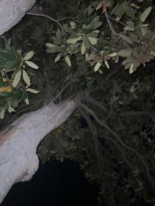 Post 2 by 🎀Sandee White🎀 on TikTok (video)