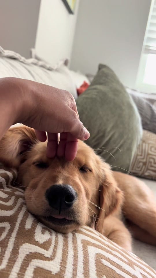 Post 6 by Jahanvi on TikTok (video)