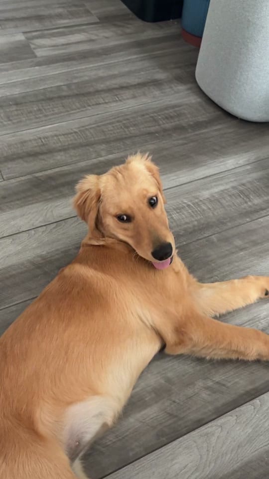 Post 8 by Jahanvi on TikTok (video)