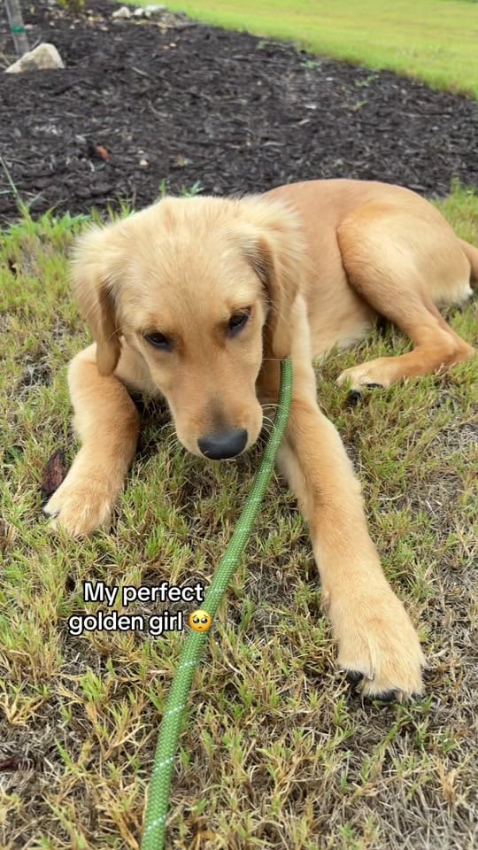 Post 10 by Jahanvi on TikTok (video)