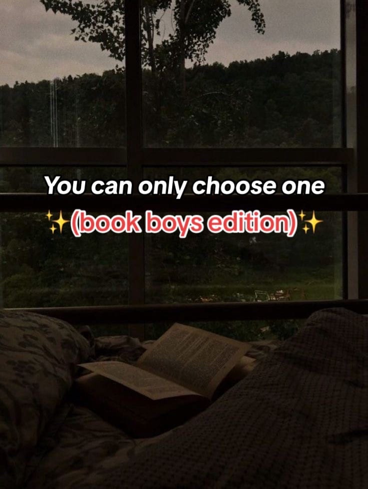 Post 8 by Lara on TikTok (video)