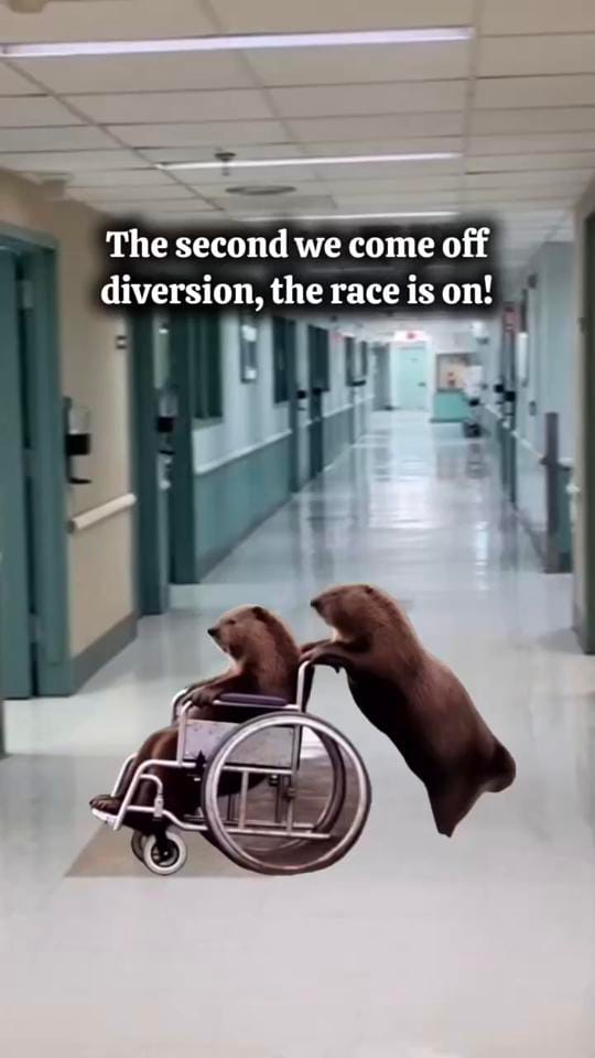 Post 5 by MCG Urology on TikTok (video)