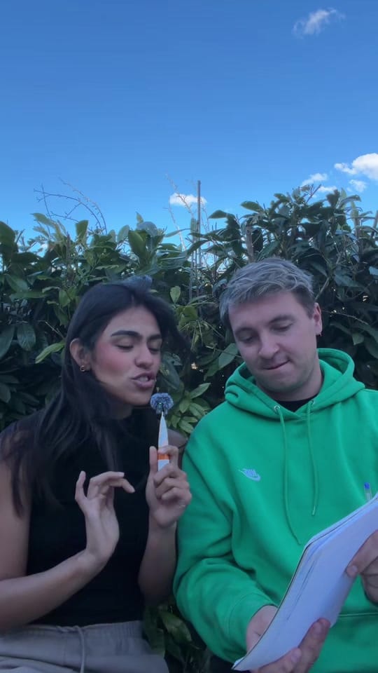 Post 4 by Paulina Villegas on TikTok (video)