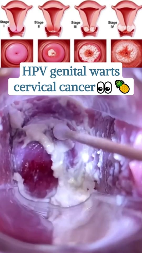 Post 2 by windrsunny25 on TikTok (video)